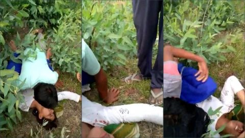 Desi dehati girl gangbang sex in khet mms video